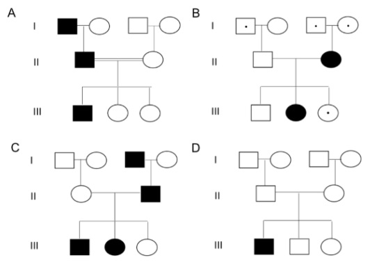 Esquema do material original com elementos visuais a interpretar.