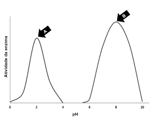 Gráfico de atividade enzimática em função do pH, com dois picos marcados A e B.