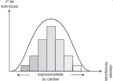 Distribuição aproximadamente normal de uma característica fenotípica contínua