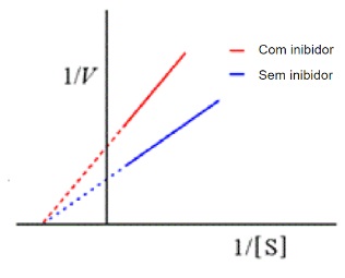 Gráfico de Lineweaver–Burk com mesmo intercepto em x e maior inclinação na presença de inibidor
