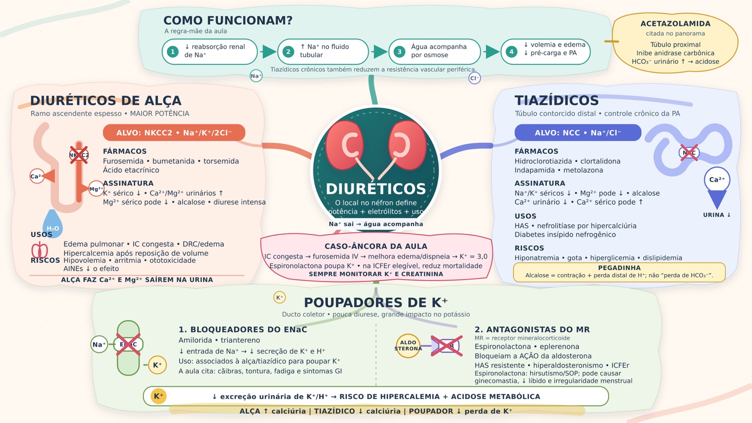 Mapa mental dos diuréticos de alça, tiazídicos e poupadores de potássio