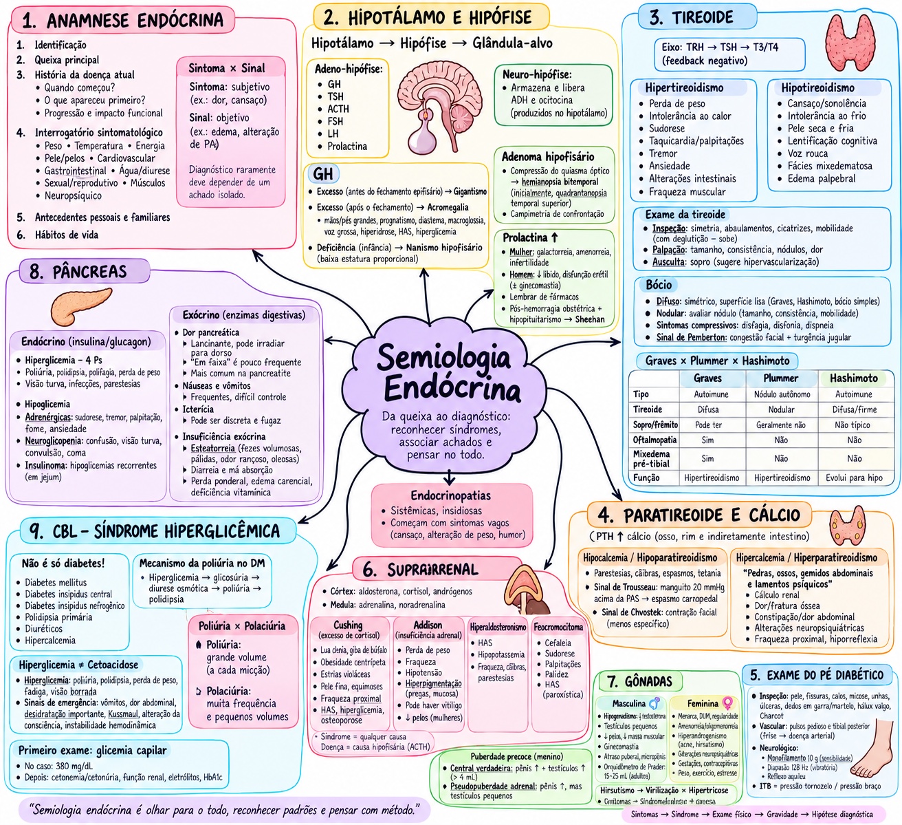 Mapa mental de semiologia endócrina com anamnese, exame físico, tireoide, suprarrenais, pâncreas e cálcio